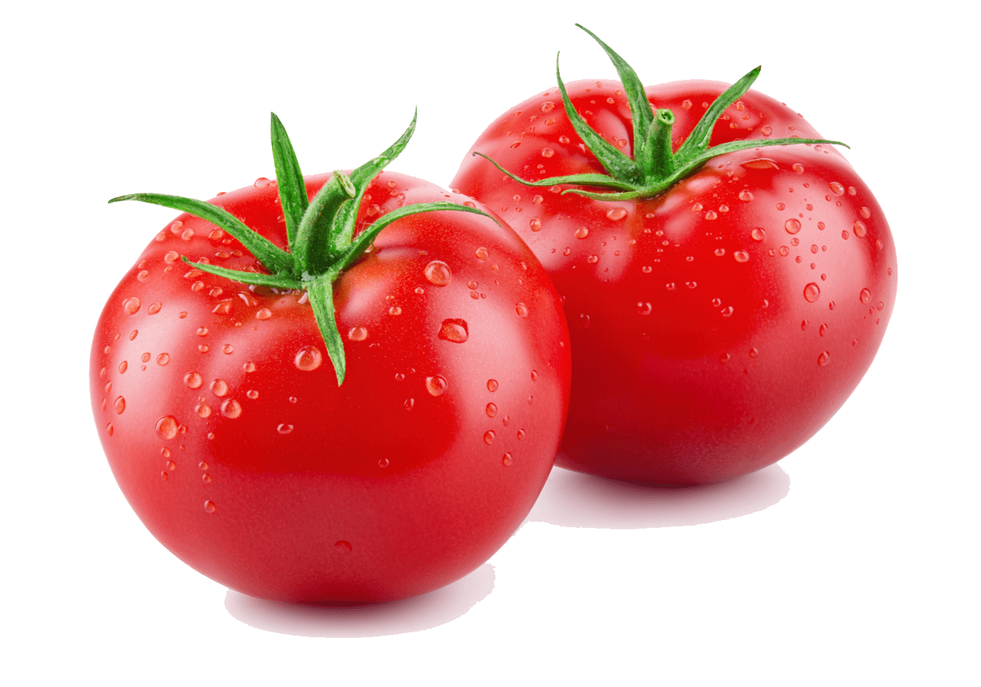 Photo of two tomatoes