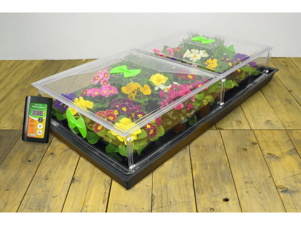 Tildenet - Termometro Per Propagatore Da Giardinaggio | Modello T23, 150mm | Scala Bianca Su Sfondo Verde