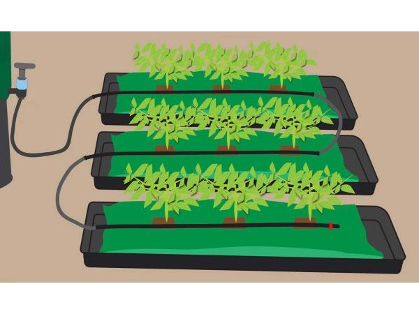 Click & Drip Water Butt Grow Bag Kit WITHOUT TIMER