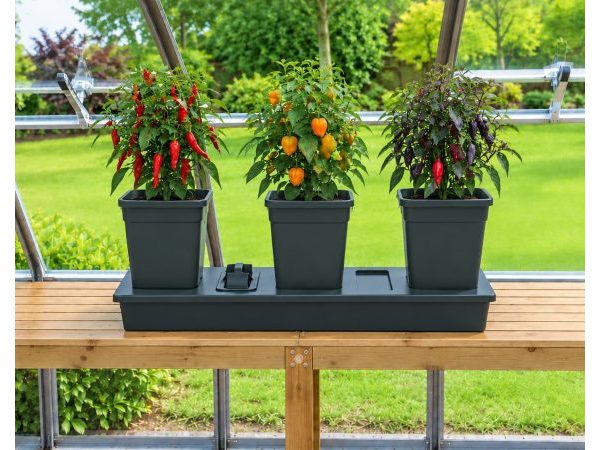 Chilligrow Planter