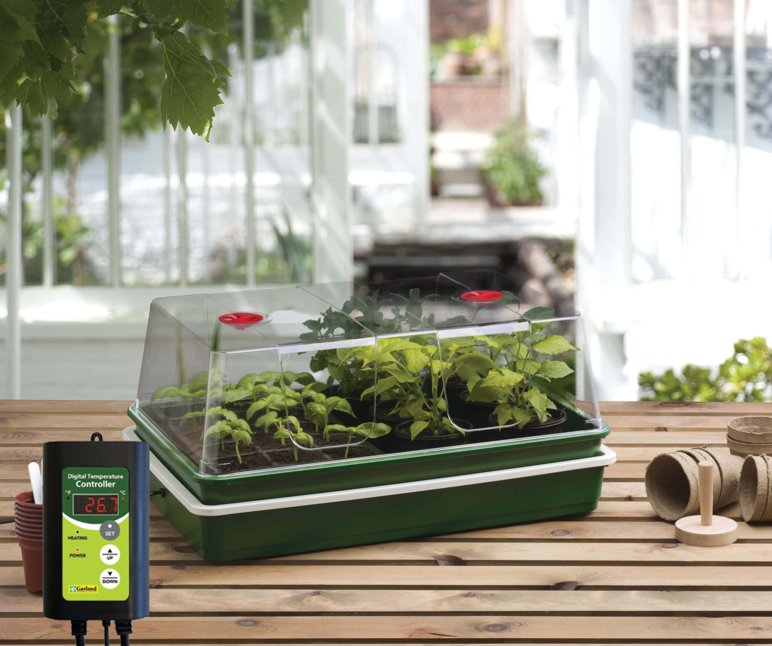 Professional Variable Temperature Control Electric Propagator