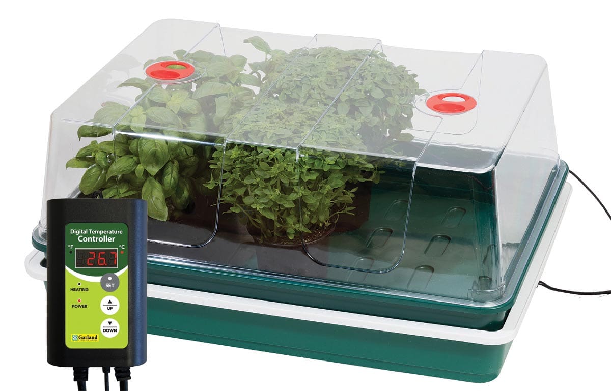 Professional Variable Temperature Control Electric Propagator