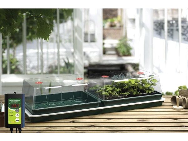 Jumbo Professional Variable Temperature Control Electric Propagator
