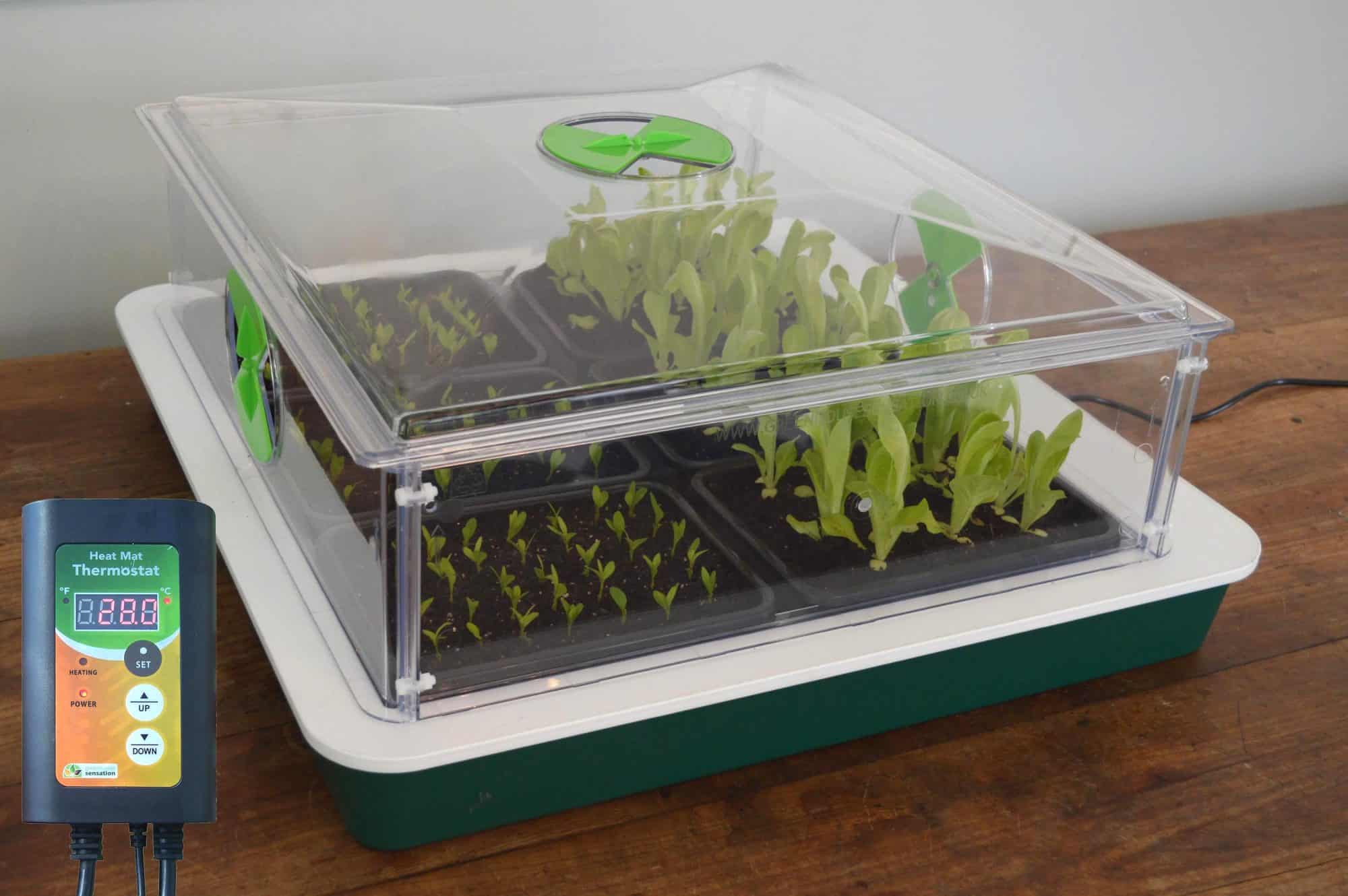 New Small Vitopod Electric Variable Temperature Control Propagator