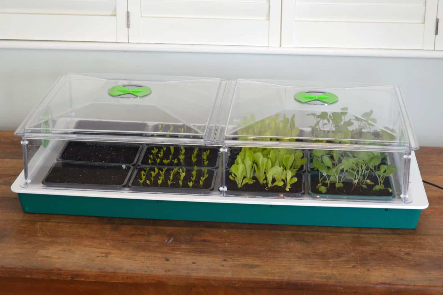 New Large Vitopod Electric Variable Temperature Control Propagator