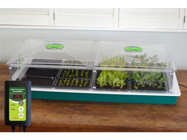 New Large Vitopod Electric Variable Temperature Control Propagator