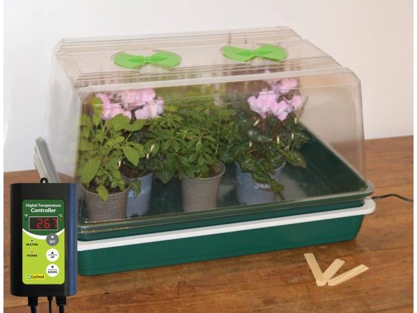 Single High Top Variable Temperature Control Electric Propagator