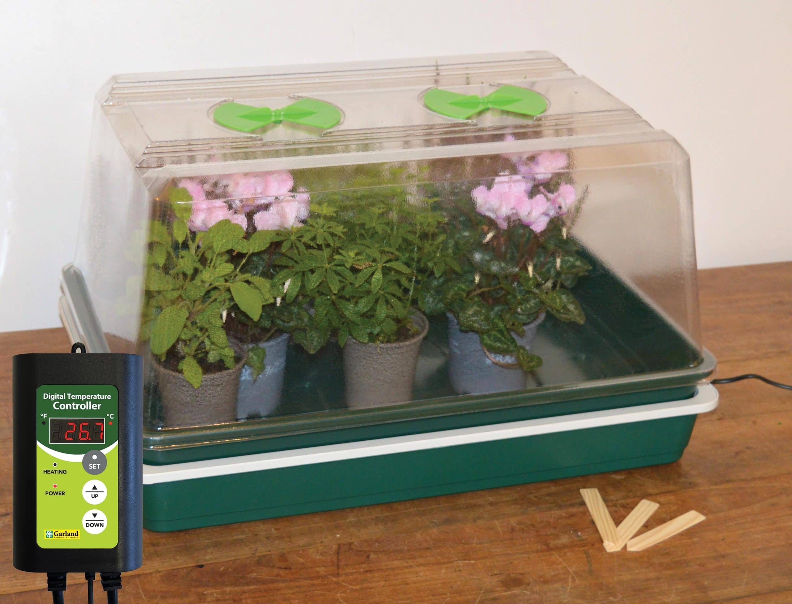 Single High Top Variable Temperature Control Electric Propagator