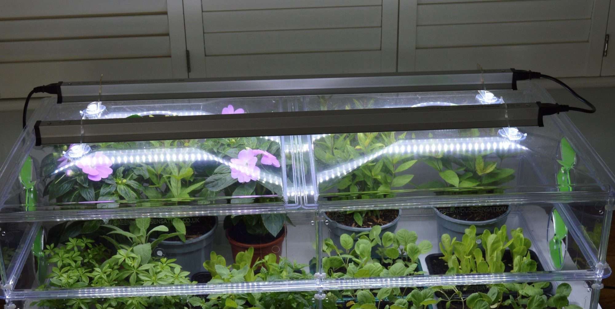 Garland Gal62gwm Micro Grow Light Garden Propagator White 50x20x20 Cm For Sale Online | UK