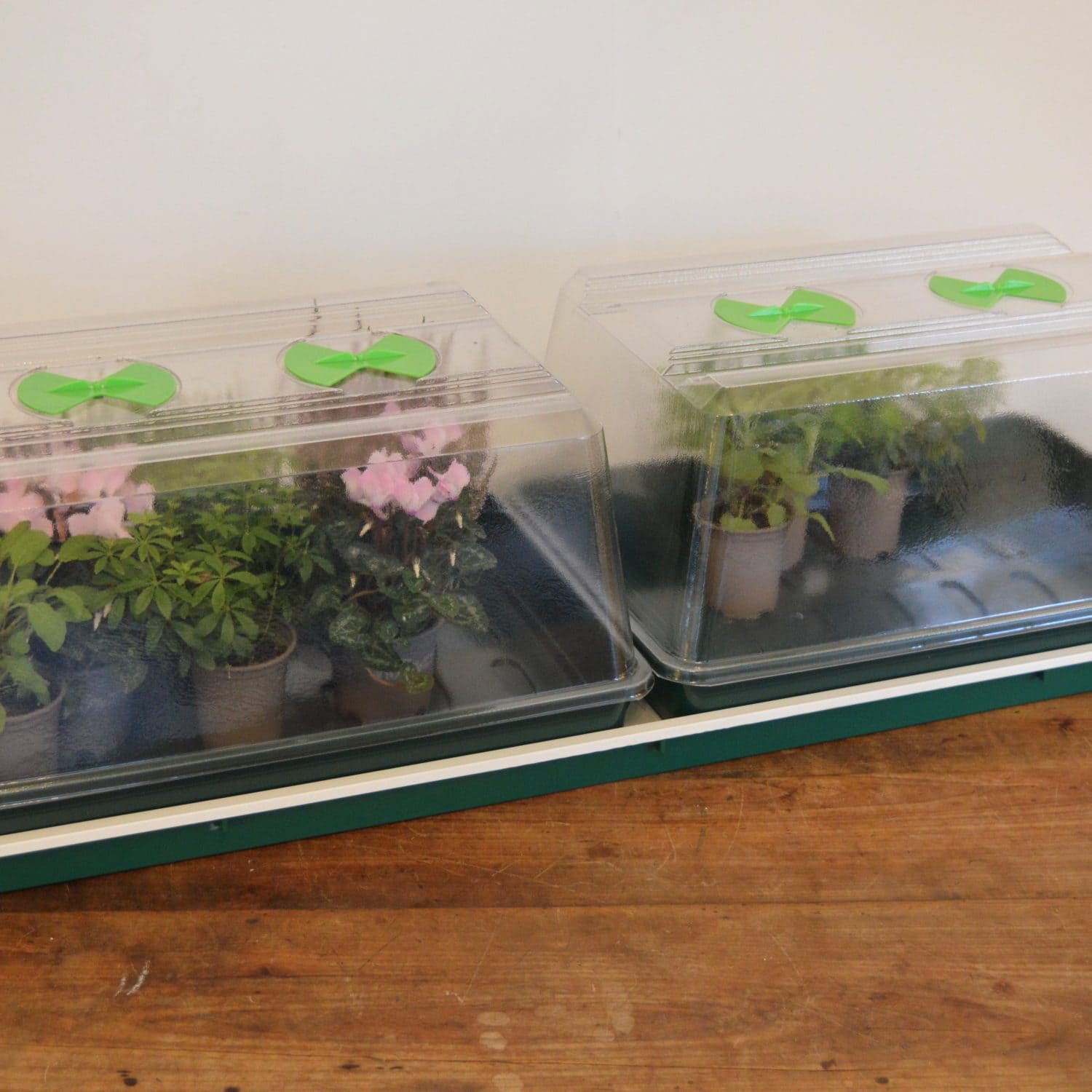 Double High Top Variable Temperature Control Electric Propagator