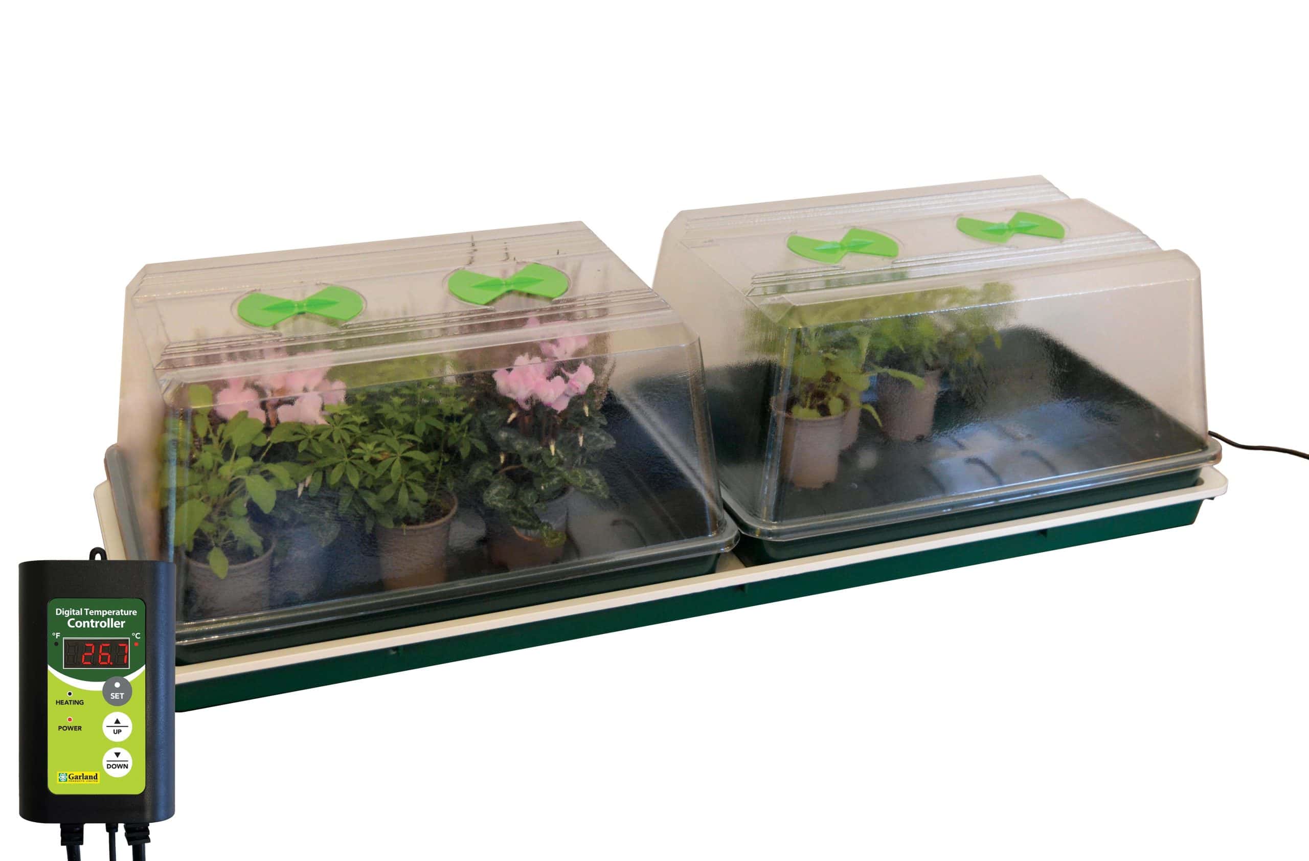 Double High Top Variable Temperature Control Electric Propagator