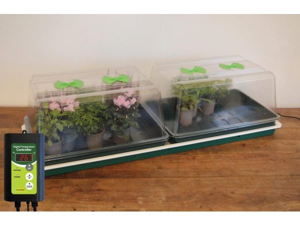Double High Top Variable Temperature Control Electric Propagator