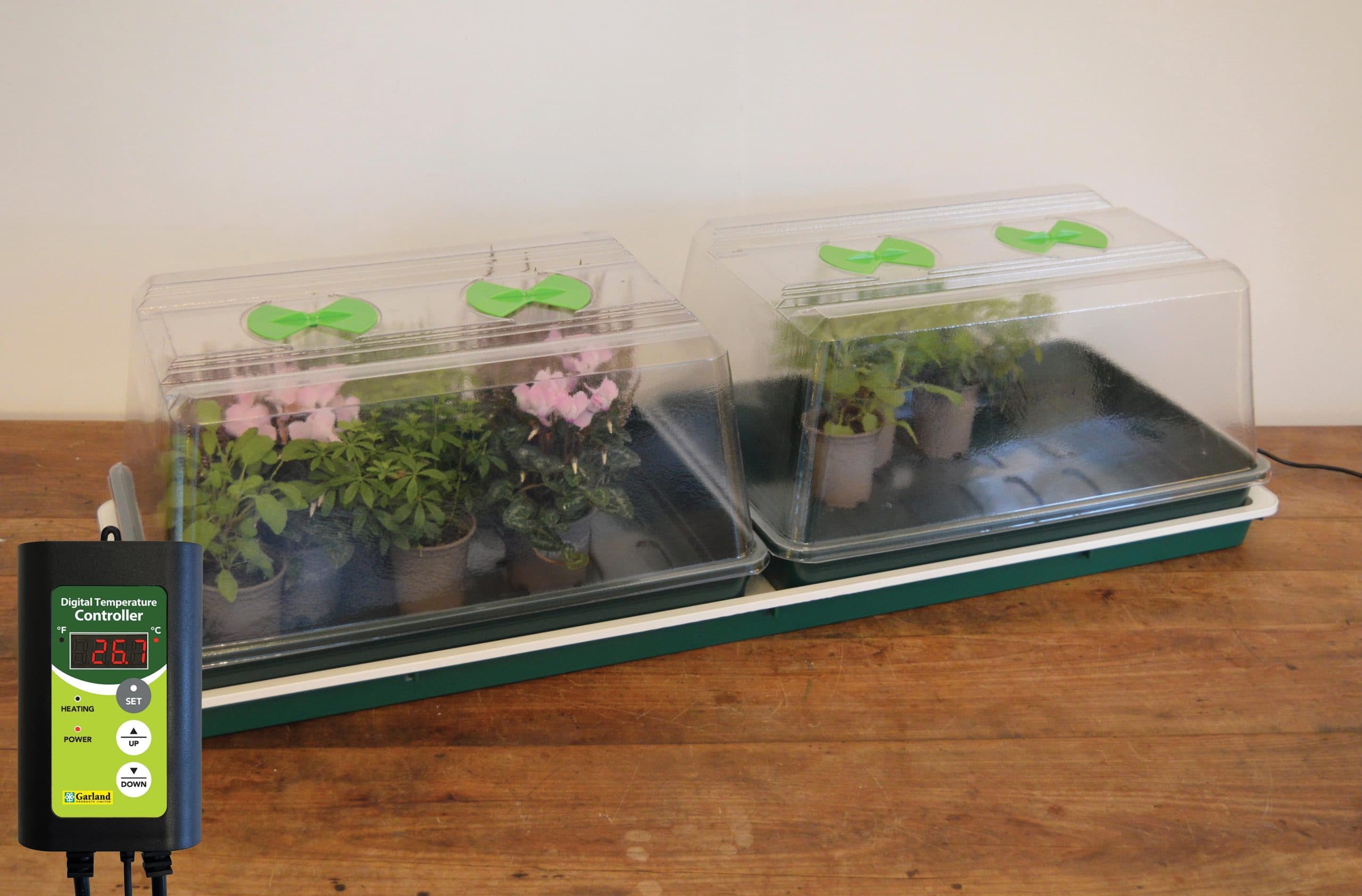 Double High Top Variable Temperature Control Electric Propagator