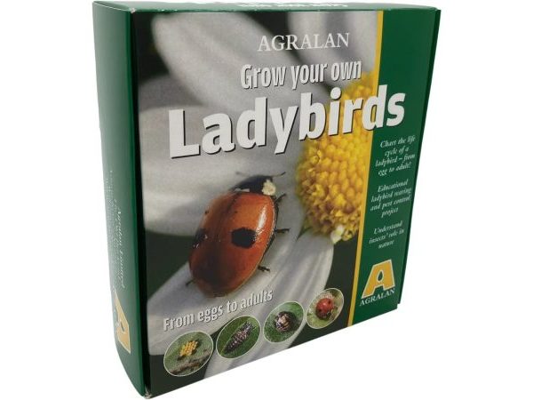 Grow Your Own Ladybirds Voucher