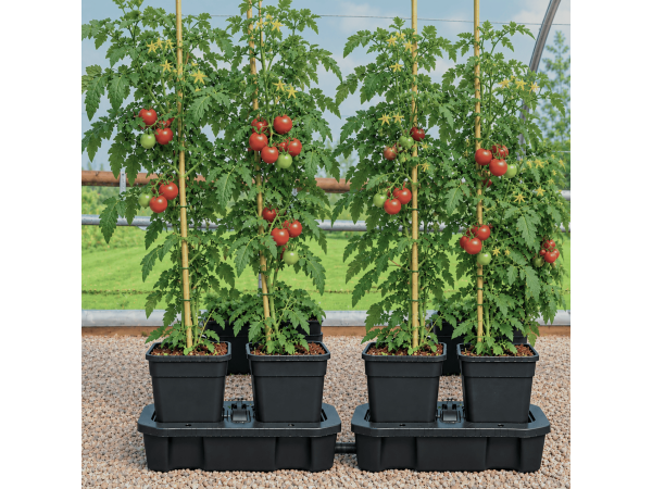 Quadgrow Self-Watering Planter